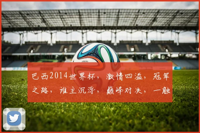 巴西2014世界杯，激情四溢，冠军之路，谁主沉浮，巅峰对决，一触即发