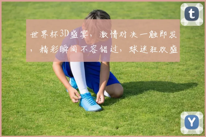 世界杯3D盛宴，激情对决一触即发，精彩瞬间不容错过，球迷狂欢盛宴来袭